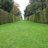 Avenue hedging