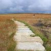 Kinder Scout path