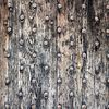 old wooden door