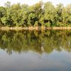 riverbank