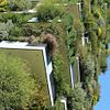 Bosco verticali Milan