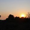 California sunset