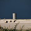 Field hay bales