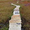 Kinder Scout path 2