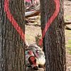 Love trees