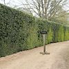 No access hedging