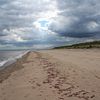 coast dark skies