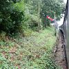 green signal train