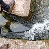 Stepping stones