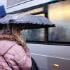 umbrella rain